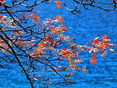 -叠溪松坪沟景区