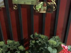 -何适山庄 ·可团建(水长城P2停车场店)