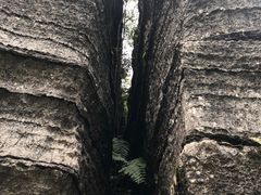 -梭布垭石林景区