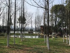 -艾溪湖湿地公园