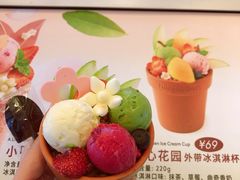 -哈根达斯(合肥天鹅湖店)