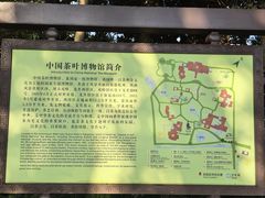 -中国茶叶博物馆(双峰馆区)