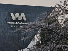 -武汉大学-樱园