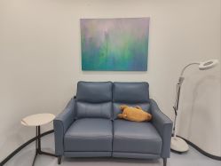 -丰联丽格医疗美容·联合丽格眼整形中心