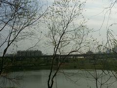 android_upload_pic-琴亭湖公园