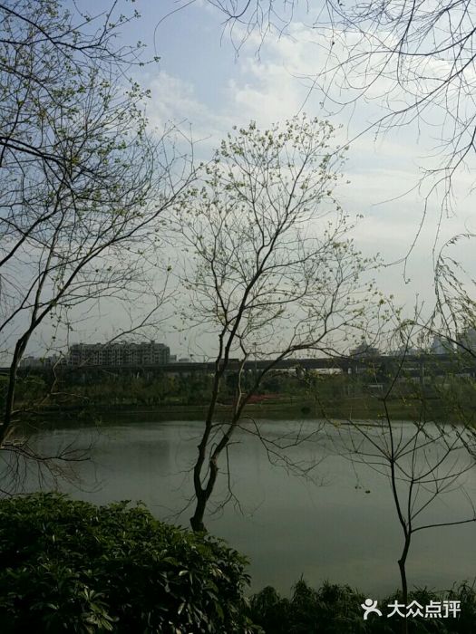 琴亭湖公园android_upload_pic图片