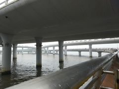 -演武大桥观景平台