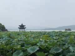 -知味观(湖滨总店)