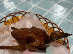 -石岐乳鸽村(桥观坊南四巷店)