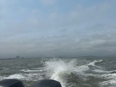 -放鸡岛生态旅游国际度假区
