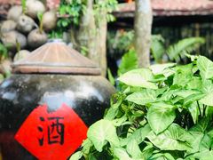 -农厨好味·温泉鹅·农家菜
