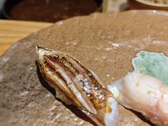 -镹·鱼料理  国产鱼使用店