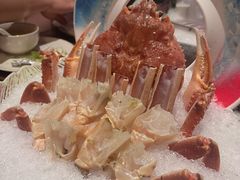 -揽季锅物会.福建黄鱼.海鲜姿造(五四路店)
