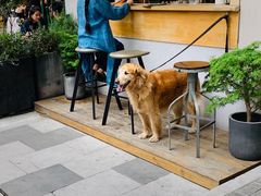 -RAC BAR(安福路店)