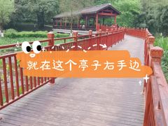 -重庆彩云湖湿地公园