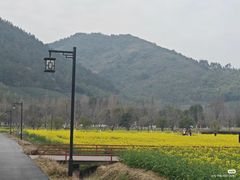 -径山花海