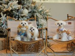 -J Create城市露营咖啡·简餐·宠物(上海动物园店)