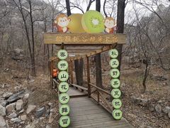 -大岭沟猕猴桃谷风景区