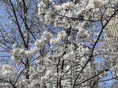 -西北湖绿化广场