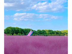 -嘉北郊野公园