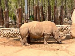 -北京野生动物园