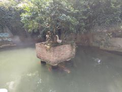 -千滋百味·醉江澜花园餐厅(街道口店)