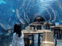 -海棠湾洲际-涛·海底餐厅·美人鱼·自助餐·海底隧道