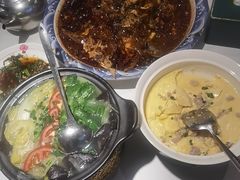 -新概念来凤鱼(璧山店)