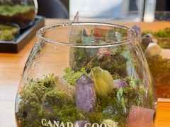 -Canada Goose加拿大鹅(北京三里屯太古里店)