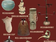 -广西壮族自治区博物馆