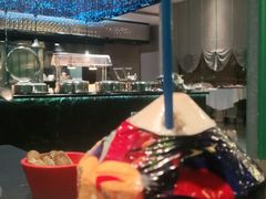 -常州环球恐龙城维景国际大酒店