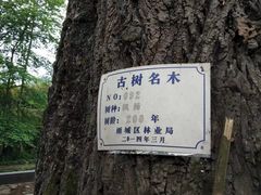 -雅安上里古镇