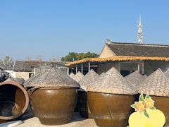 -苏州市吴中区光福窑上花果蜜饯厂