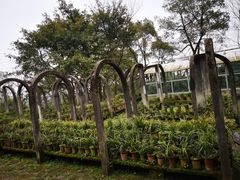 -南山植物园