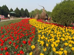 -石家庄市植物园