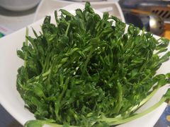 -海底捞火锅(银泰中心店)