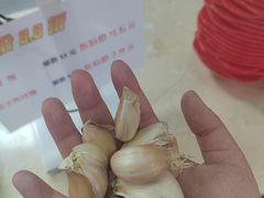 -东北农业大学