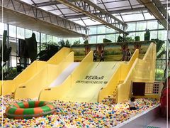 -南宫五洲植物乐园