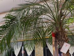 -陈熹公民族美食文化餐厅(中华广场店)