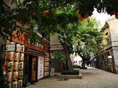 -绿地·中山里