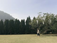 -南沙蒲洲花园