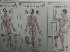 -脊元康推拿整脊养生馆
