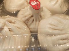 大肉包-白玉兰食品(甜云店)