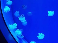 -福州罗源湾海洋世界旅游区