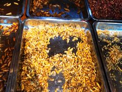 -昆虫窝子·特色云南菜(拓东路总店)