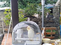 -水岸居湖景农家乐·阳澄湖大闸蟹