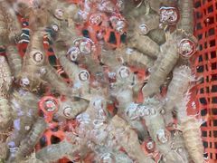 -后田海鲜餐厅(南澳香湖湾店)