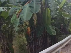 -怡心阁·水疗SPA(天府广场店)