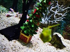 -合肥海洋世界