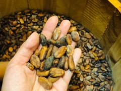 -歌斐颂巧克力小镇